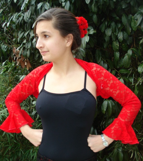 Flamenco Bolero