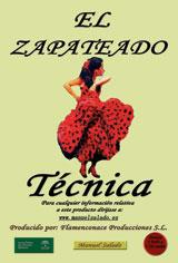 El zapateado Técnica